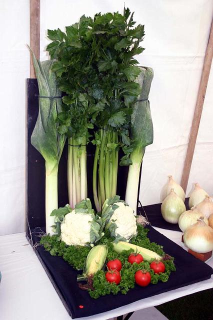 Prizewinning veg.jpg